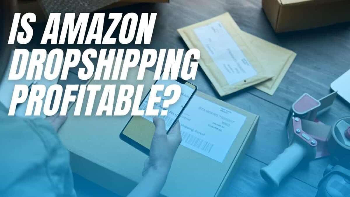 Read more about the article Is Amazon Dropshipping Profitable?